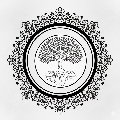 ccr-reflexo
